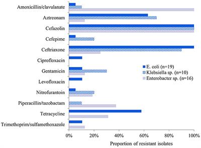 Detection of antibiotic resistant Enterobacterales in commercial raw pet food: a preliminary study